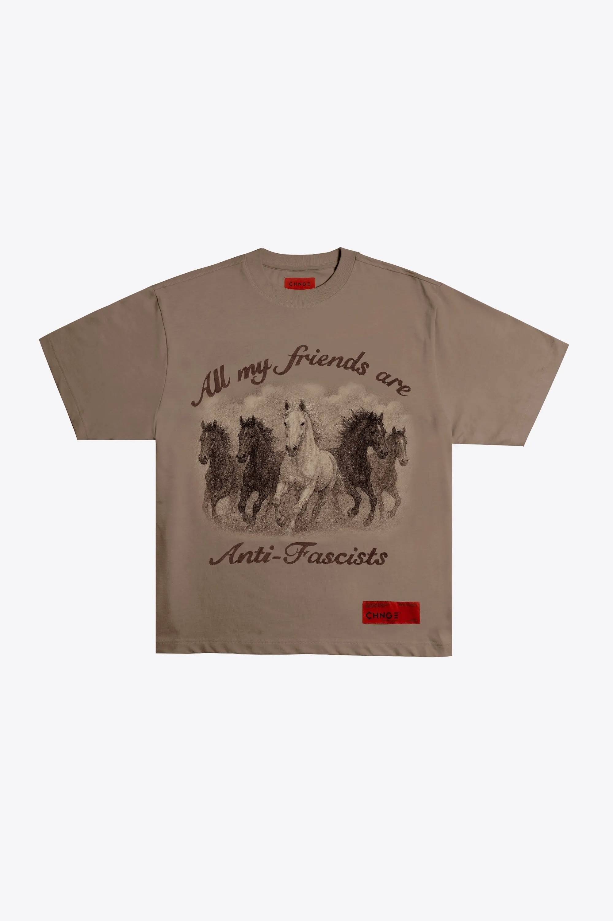 All My Friends Are Anti-Fascists S/S Tee (Portabella)