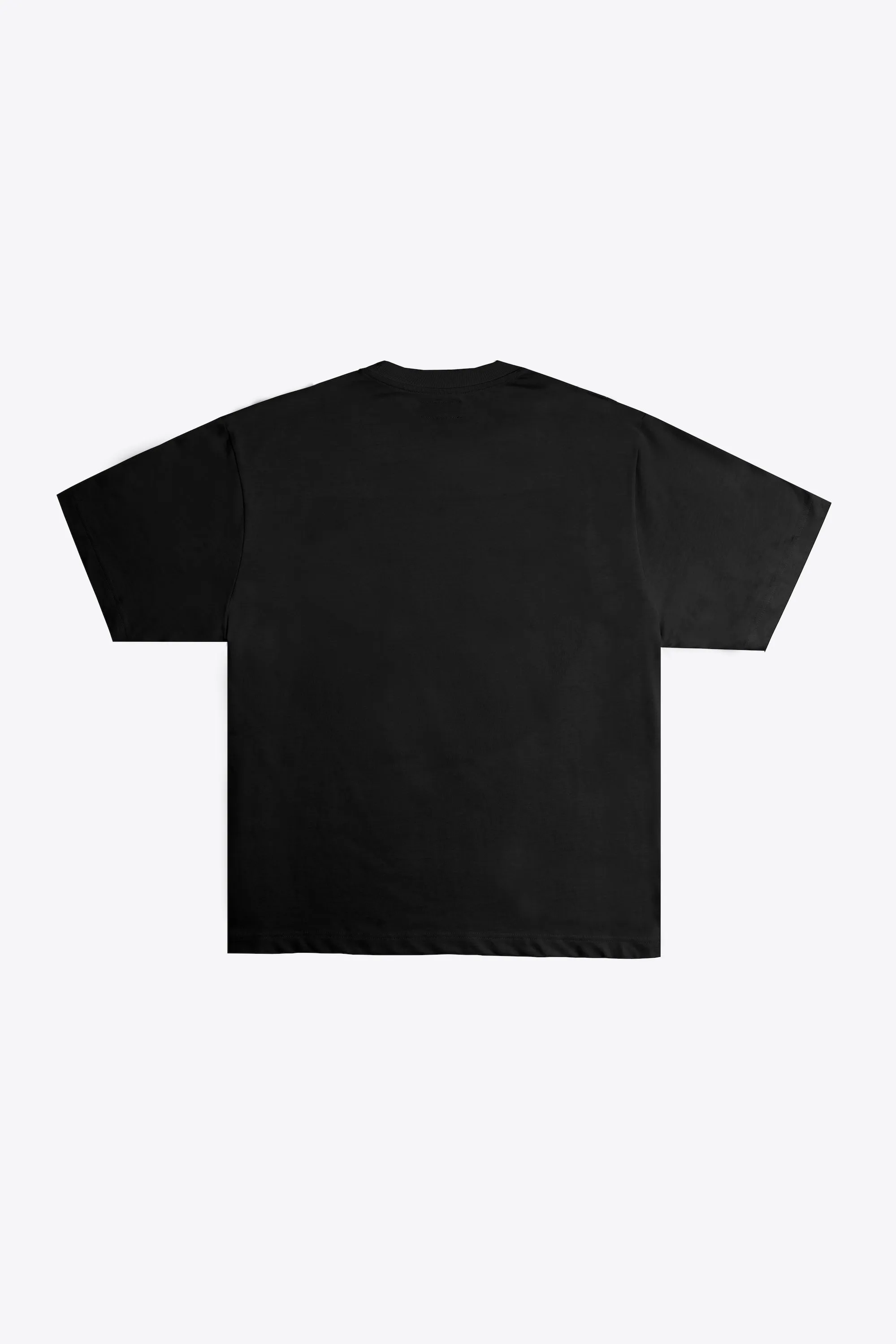 Destroy the Patriarchy Not the Planet S/S Tee (Black)