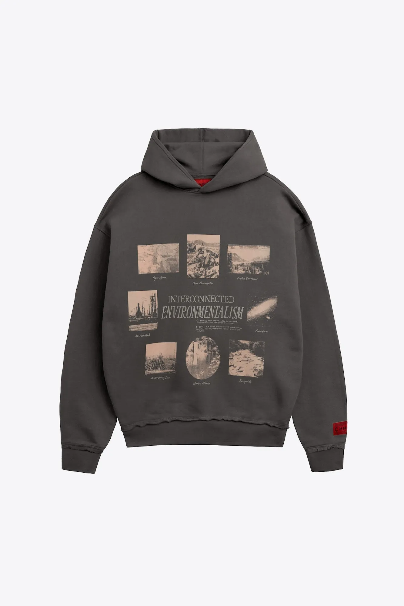 Interconnected Environment Basic Hoodie (Fossil)